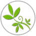 My Green Mattrtess logo